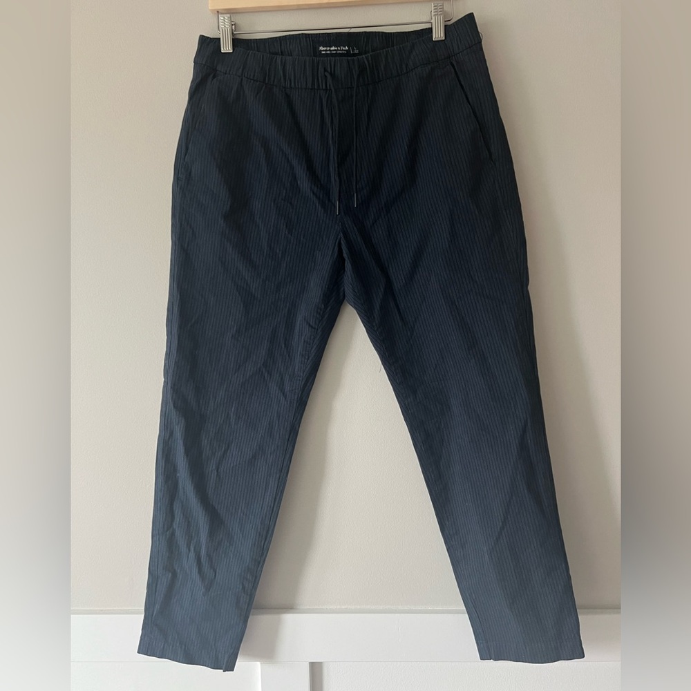 NWT Abercrombie & Fitch Blue Pin Striped Ankle Sneaker Pant Men's Size Large